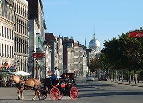 Horse-drawn carriage tours